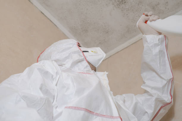 Best Mold Testing  in Simpsonville, KY